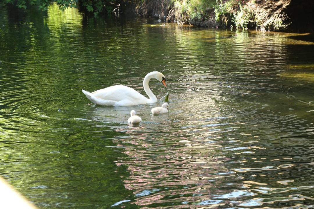 Photo of Others in Avlana