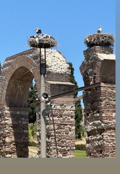 Photo of Others in Selcuk