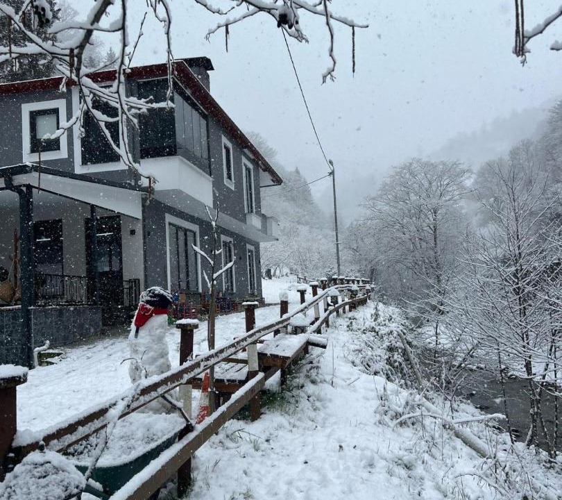 Photo of Others in Trabzon