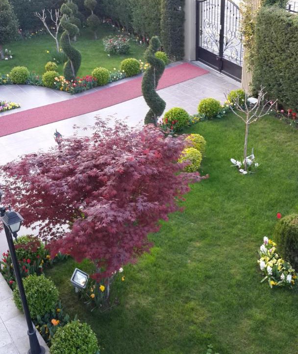 Photo of Others in Kaynarca