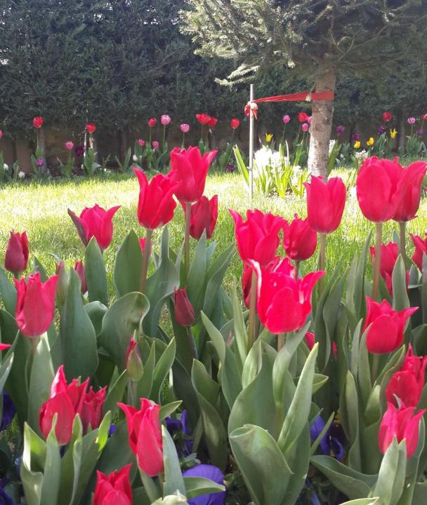 Photo of Others in Kaynarca