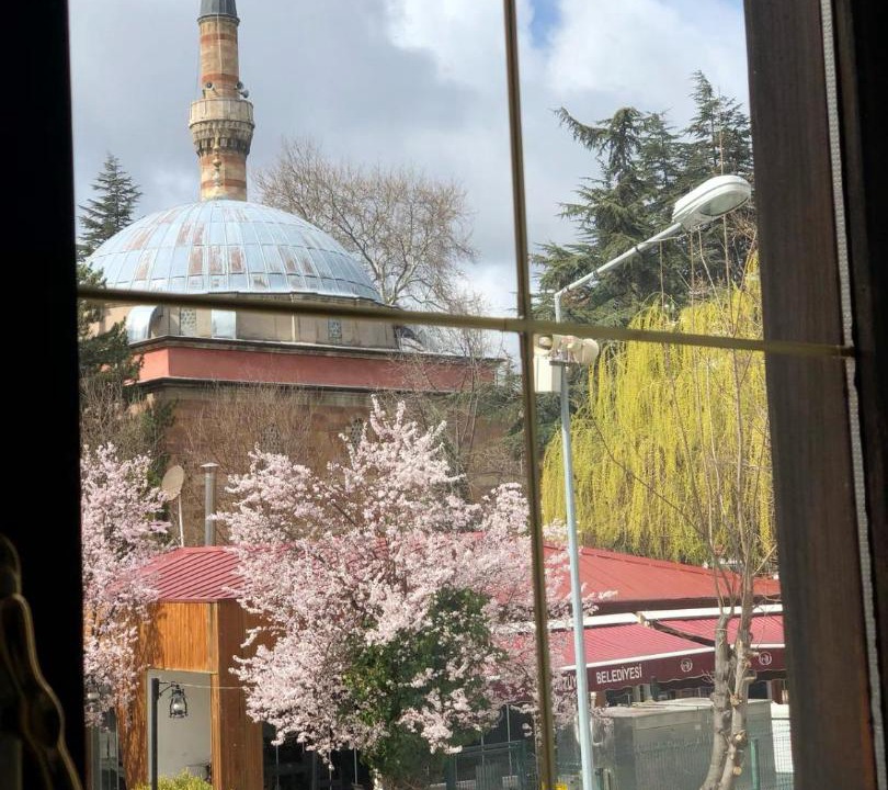 Photo of Others in Bozuyuk