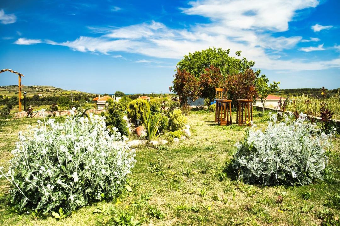 Photo of Others in Bozcaada
