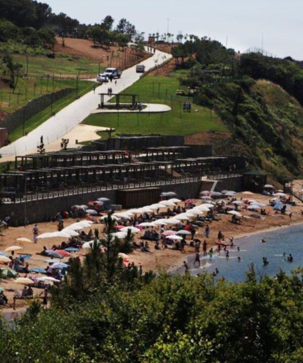 Photo of Others in Riva