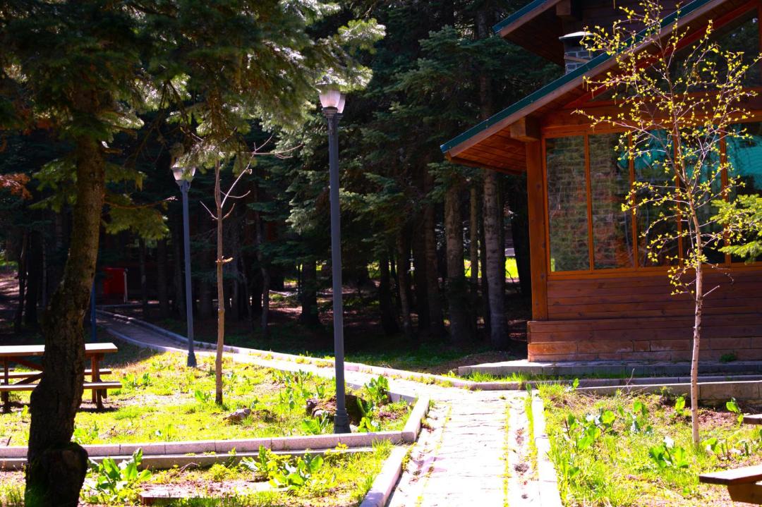 Photo of Others in Osmangazi