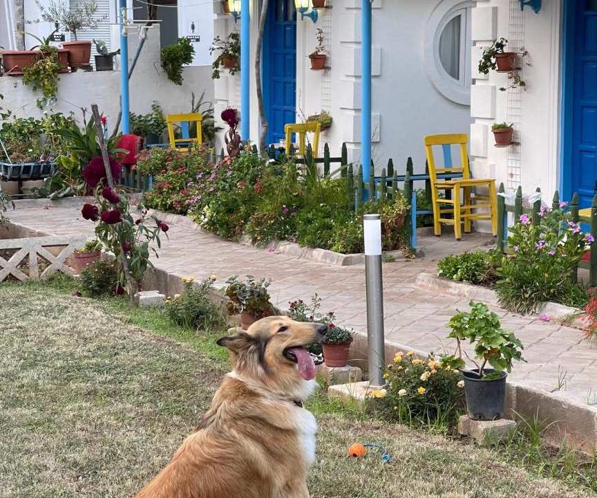 Photo of Others in Oludeniz City Center