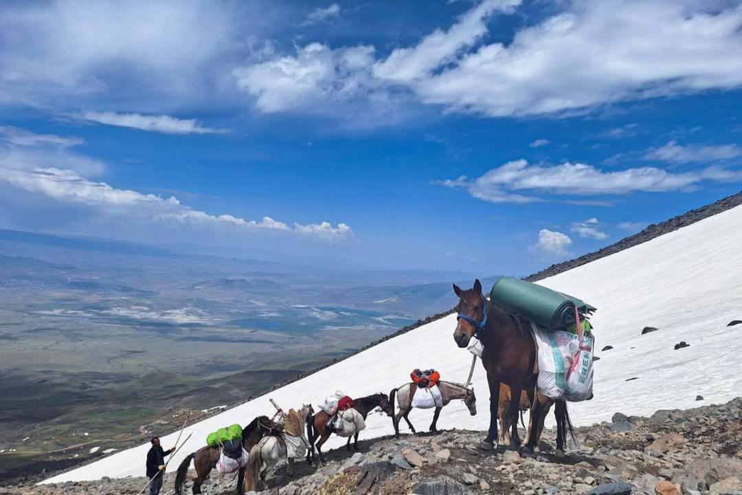 Photo of Others in Gurbulak