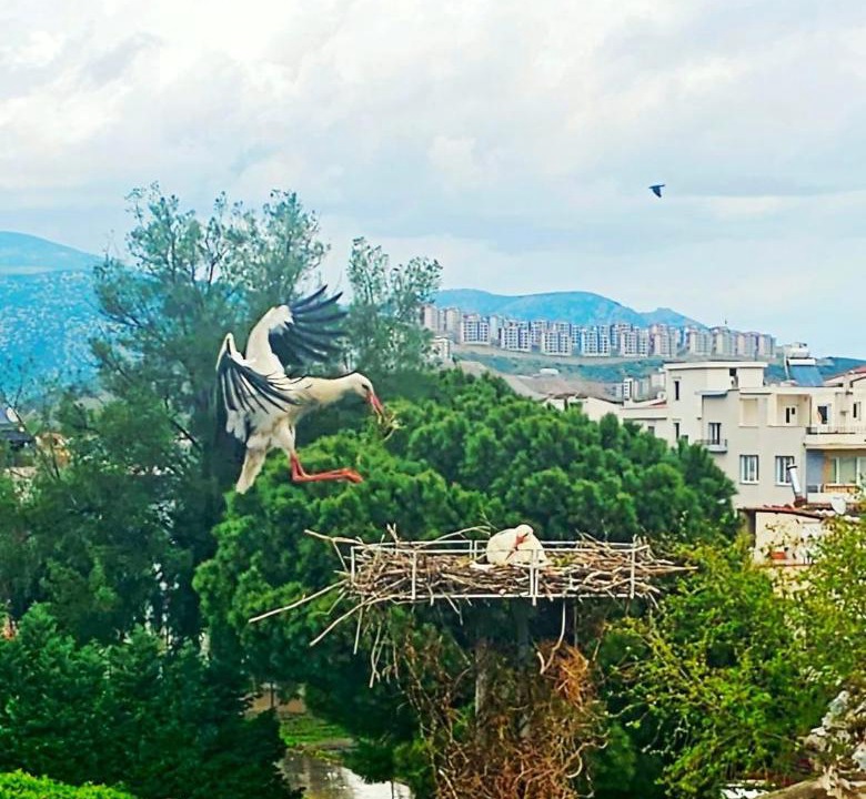 Photo of Others in Selcuk