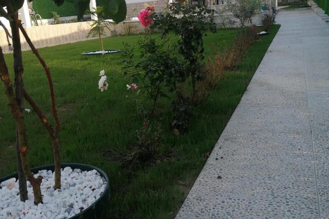 Photo of Others in Dalaman