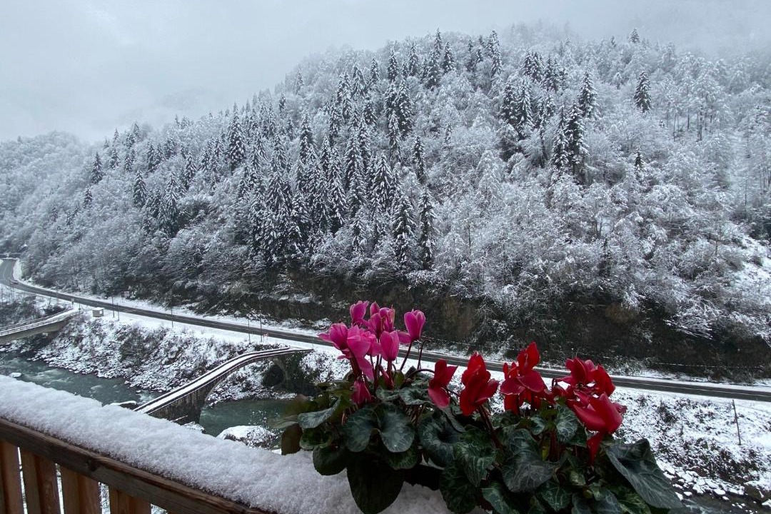 Photo of Patio Balcony in Ayder