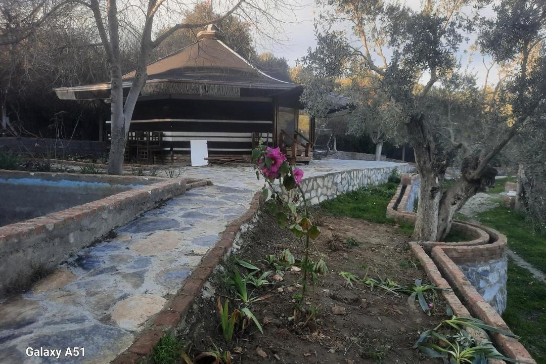 Photo of Others in Selcuk