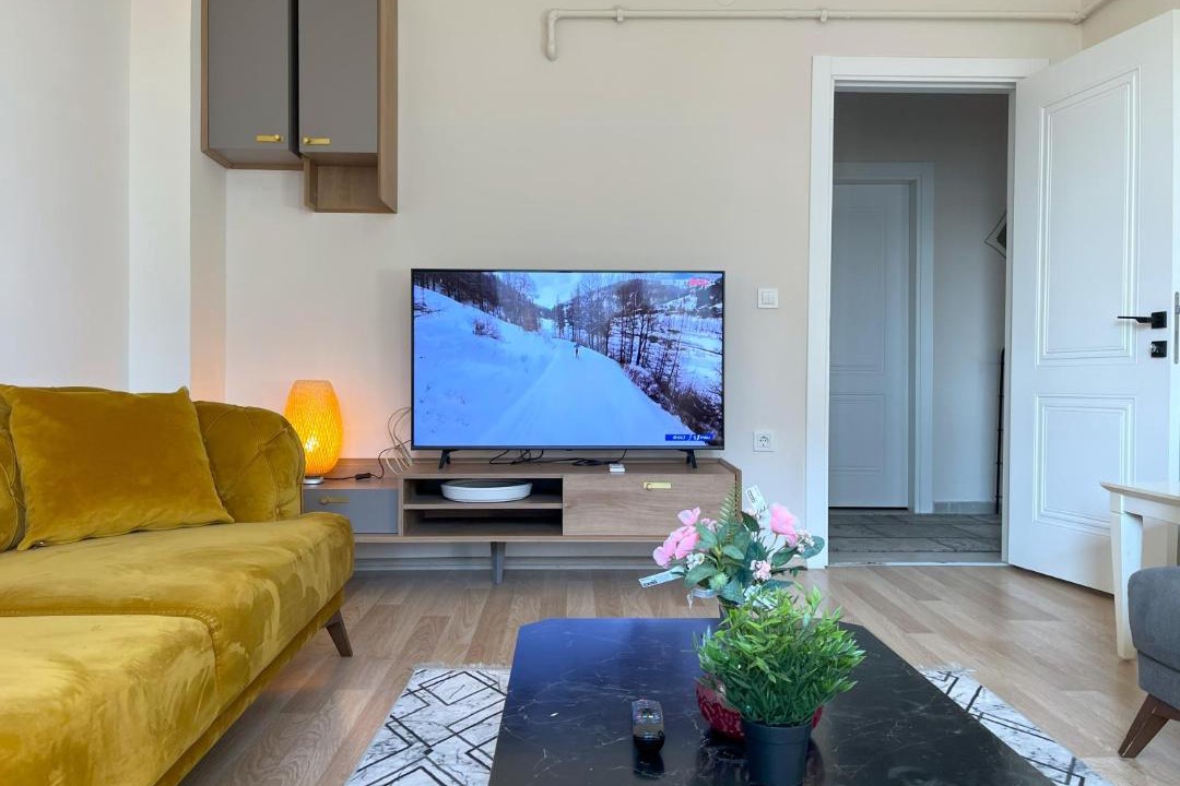 Photo of Livingroom in Zeytinburnu