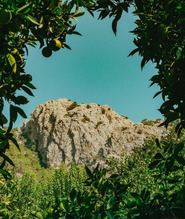 Photo of Others in Olympos