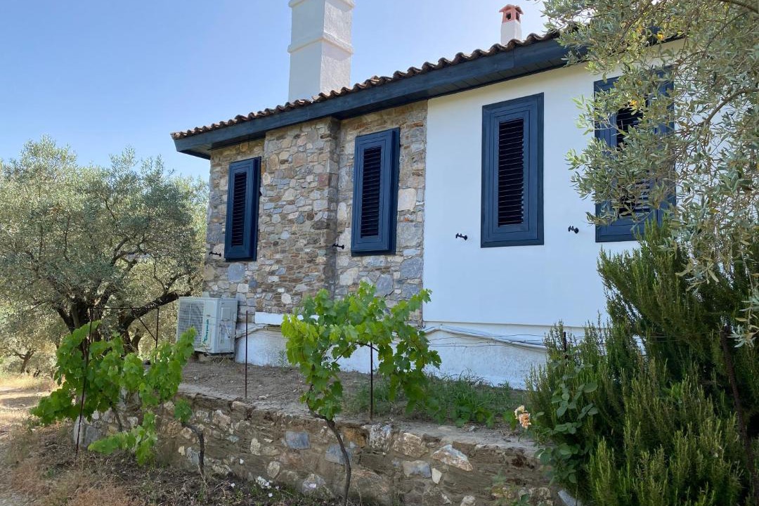 Photo of Others in Selcuk
