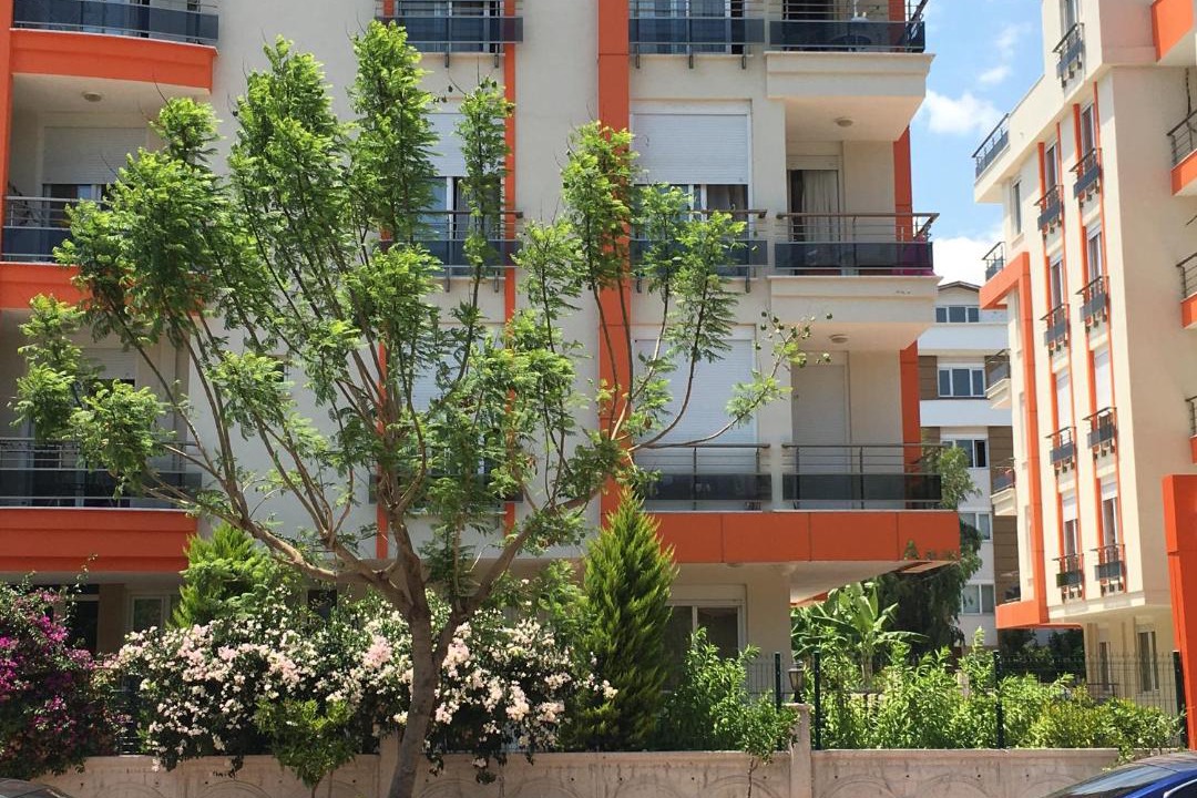 Photo of Others in Liman Mahallesi