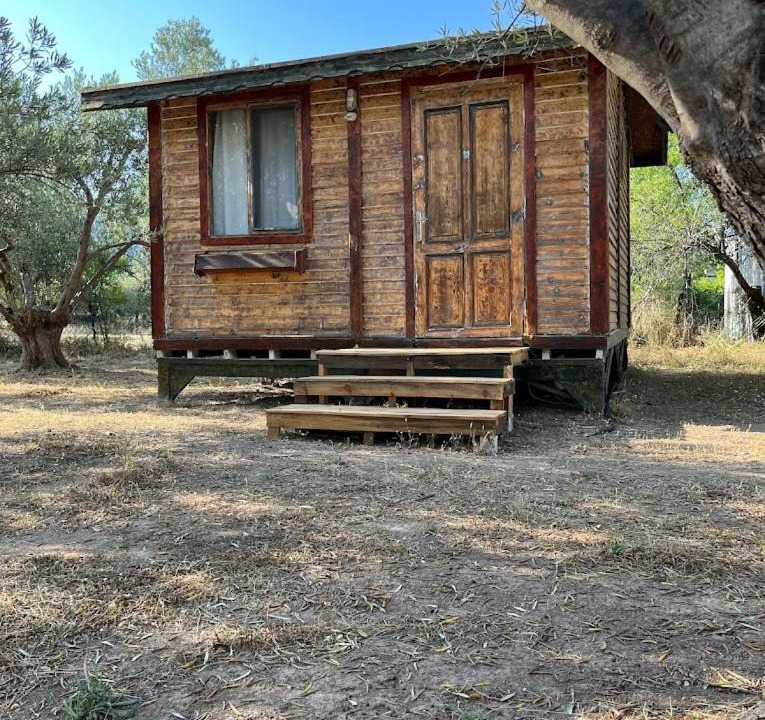 Photo of Others in Ayvacik