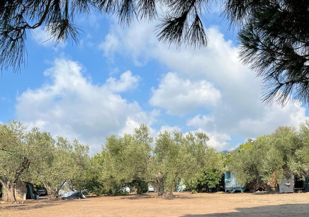 Photo of Others in Ayvacik
