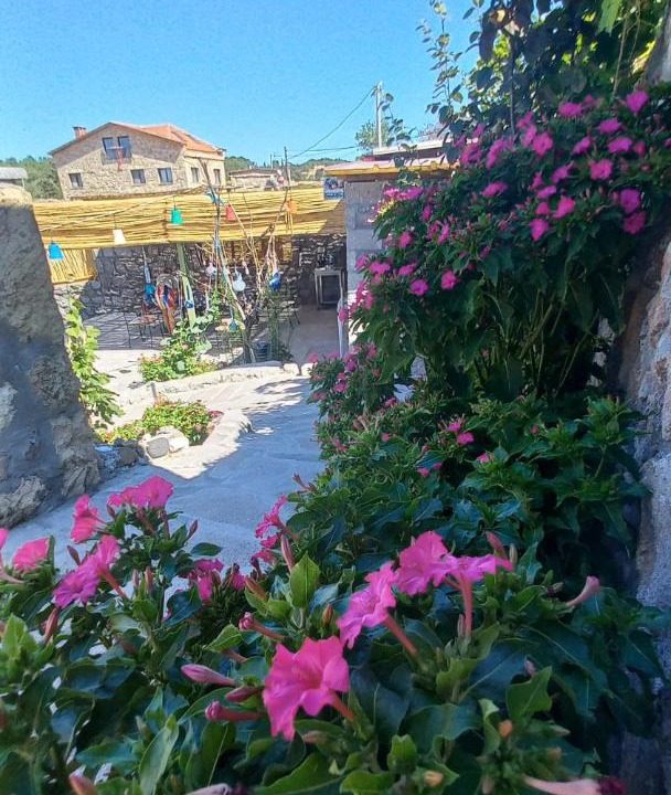 Photo of Others in Ayvacik