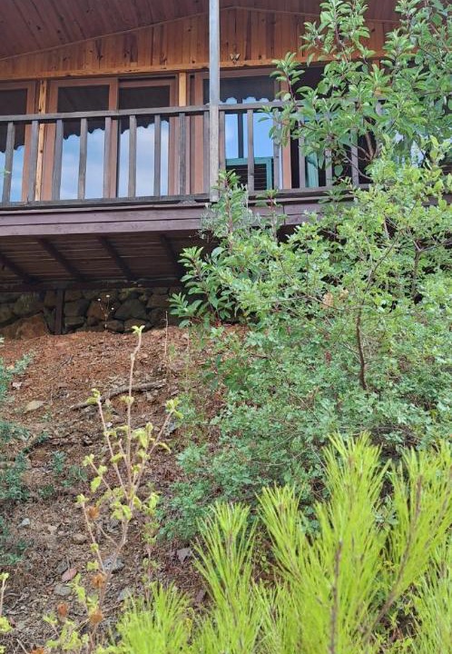 Photo of Others in Gazipasa