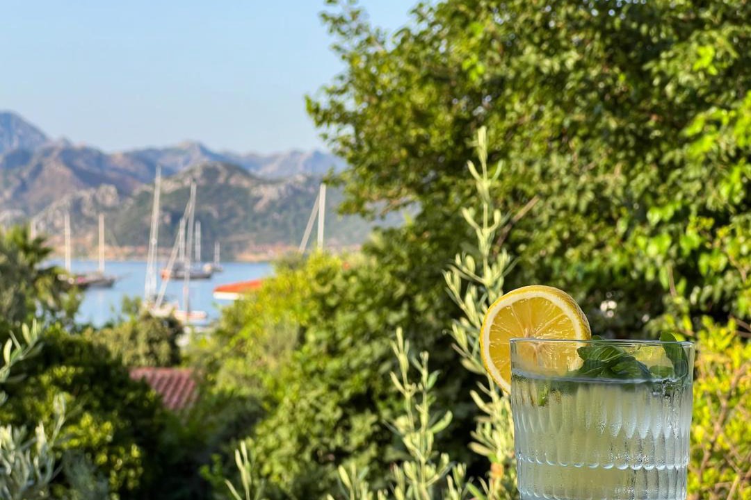 Photo of Others in Selimiye
