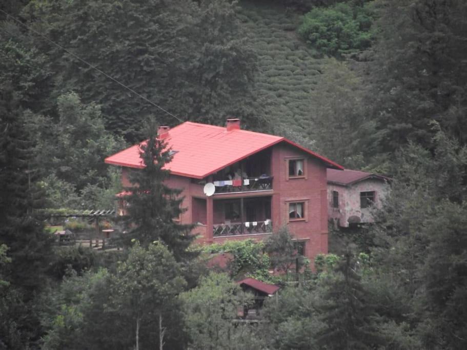 Photo of Others in Ayder