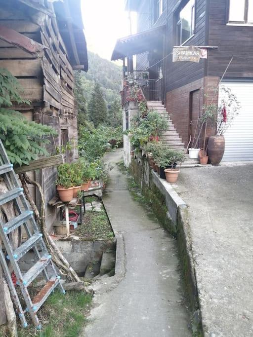 Photo of Others in Ayder