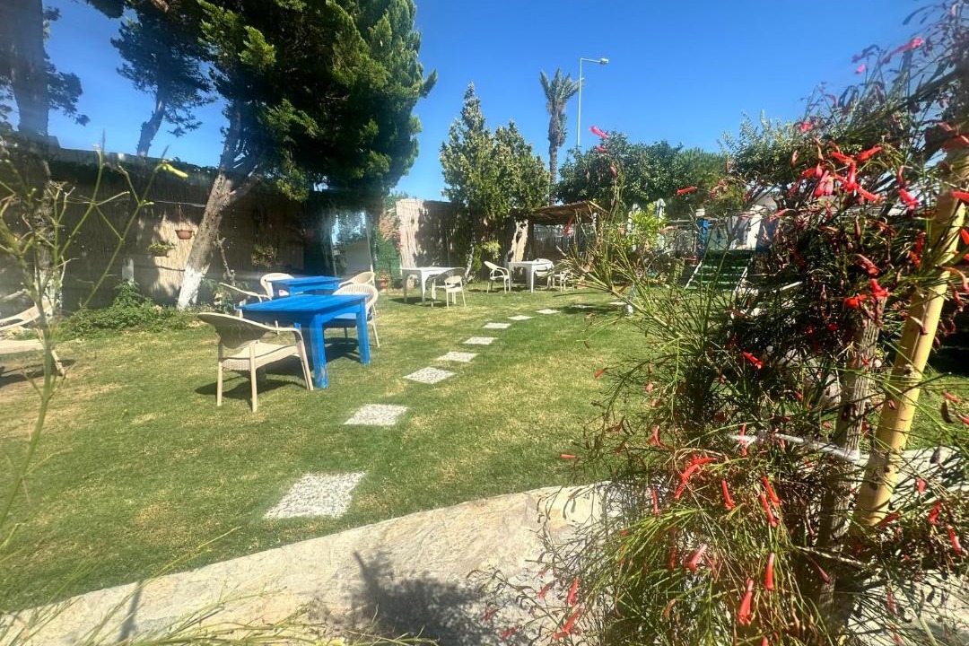 Photo of Others in Urla
