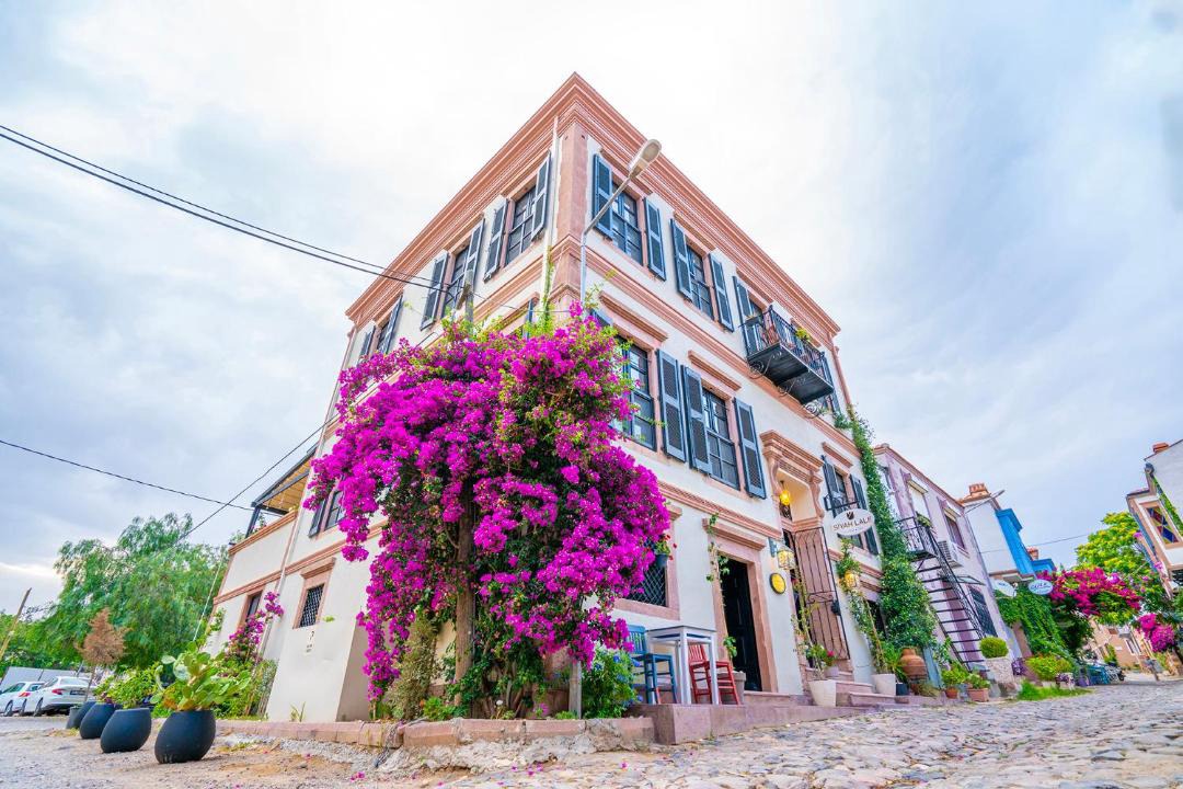 Photo of Others in Ayvalik