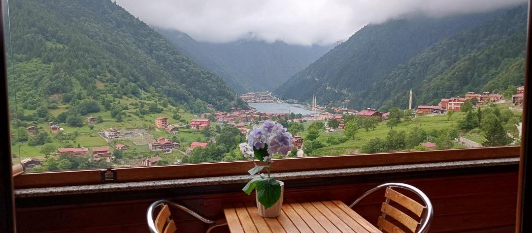 Photo of Others in Uzungol