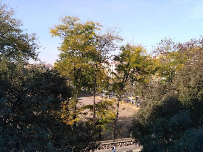 Photo of Others in Ankara City Center