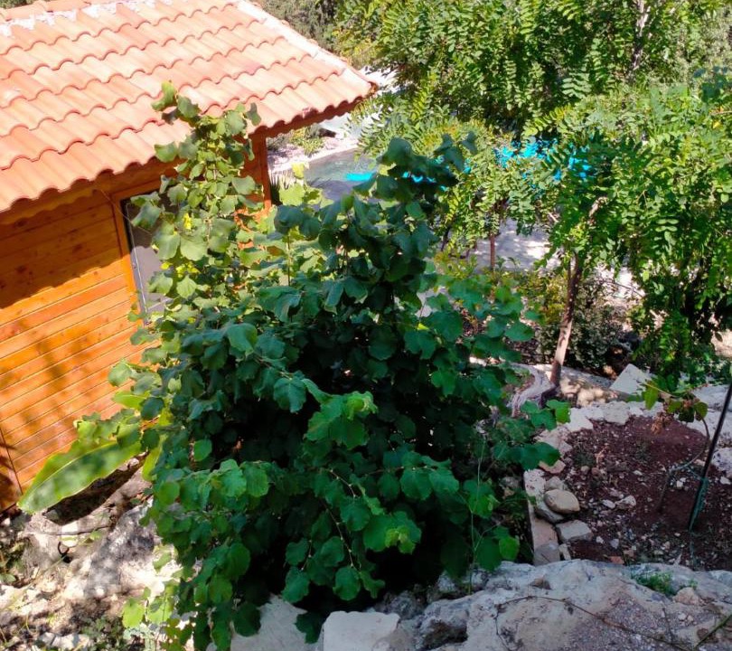 Photo of Others in Kumluca