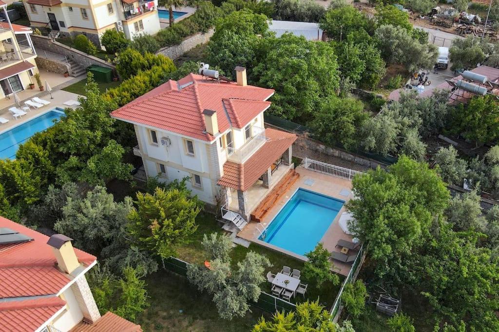Photo of Others in Oludeniz