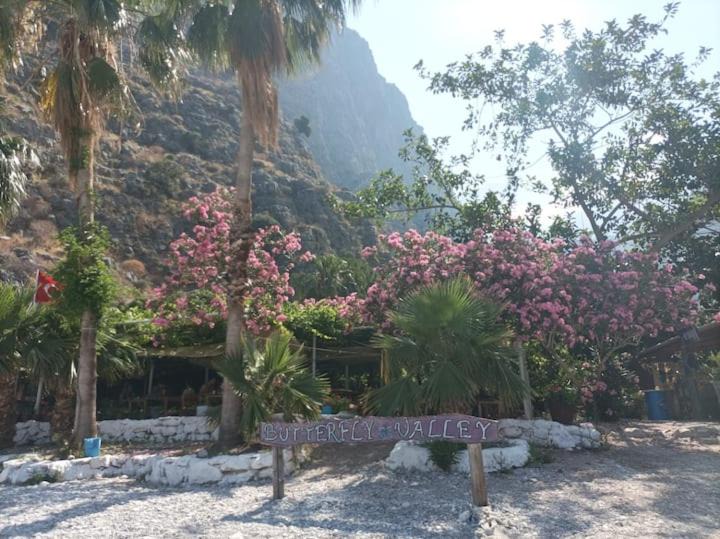 Photo of Others in Oludeniz City Center
