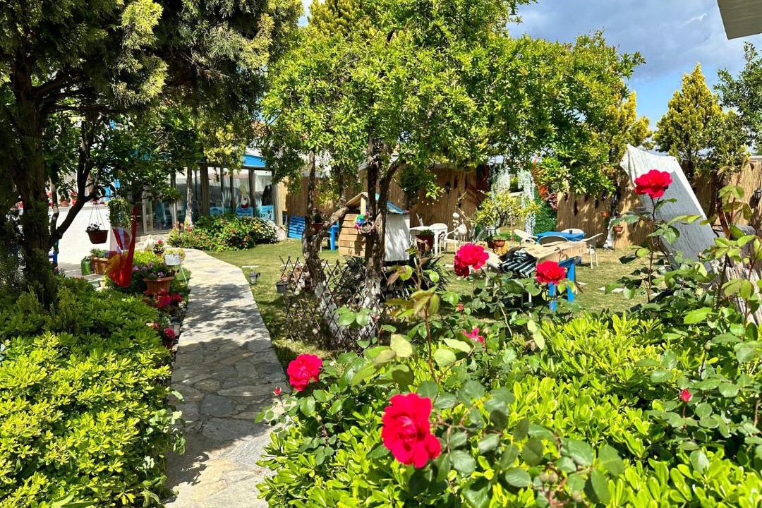 Photo of Outdoor in Urla
