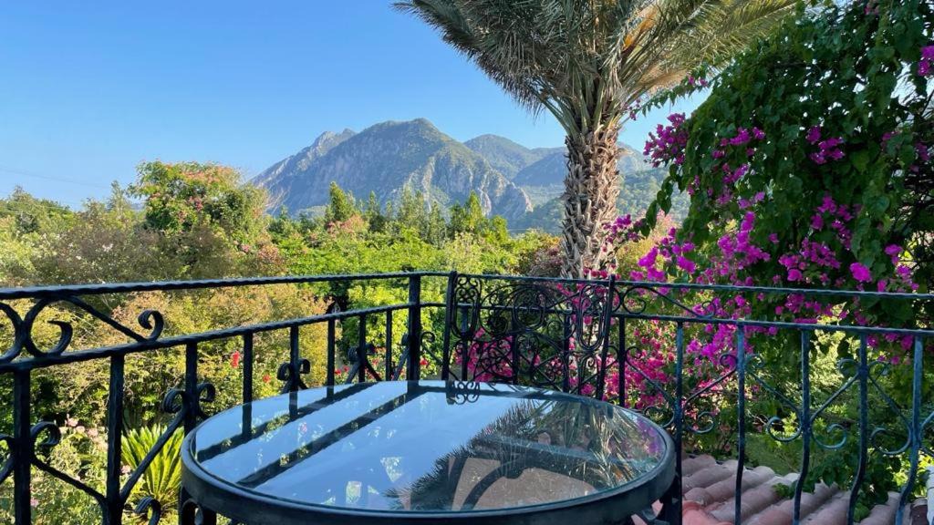 Photo of Patio Balcony in Cirali