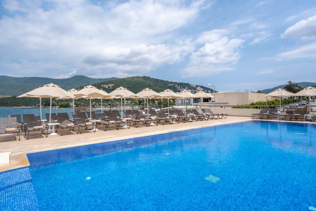 Photo of Others in Torba