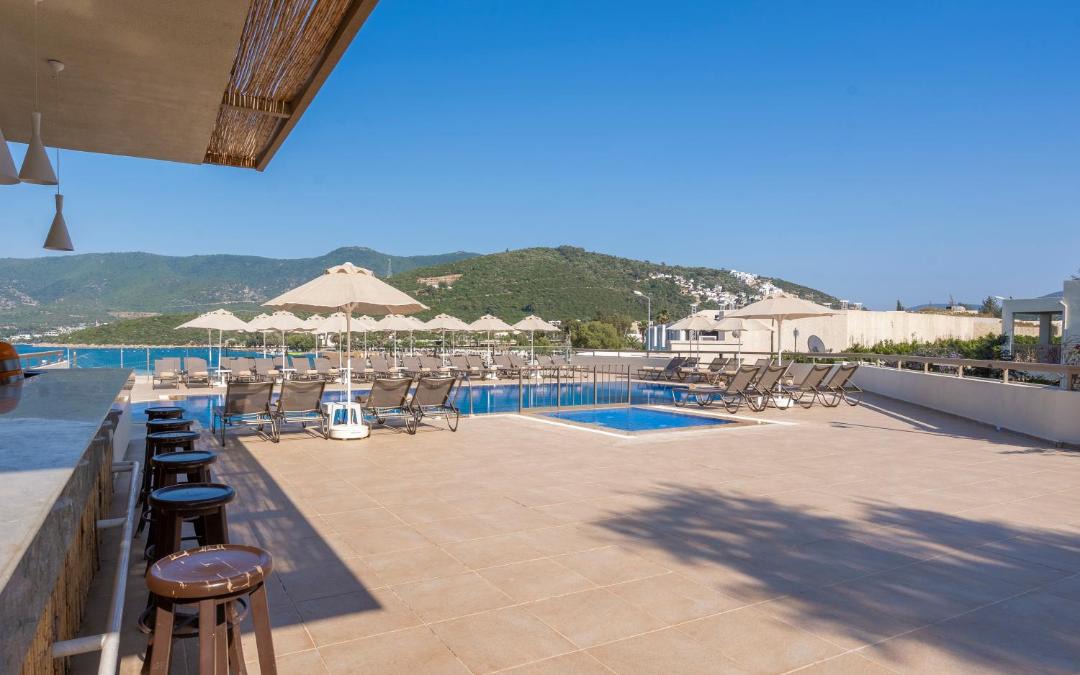 Photo of Others in Torba
