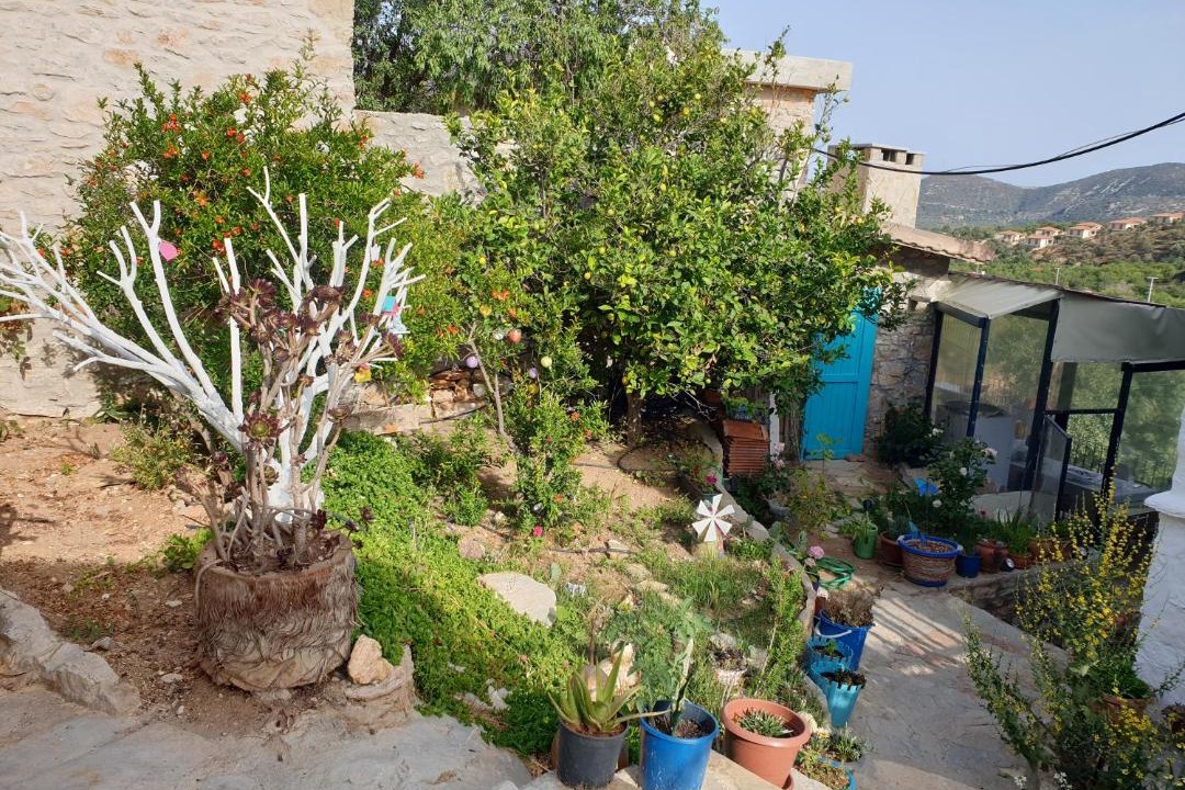 Photo of Others in Datca