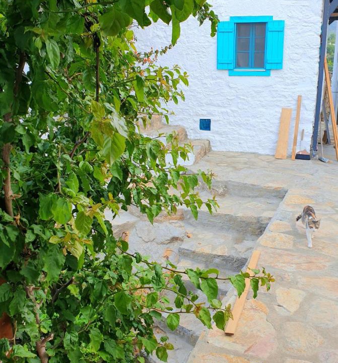 Photo of Others in Datca