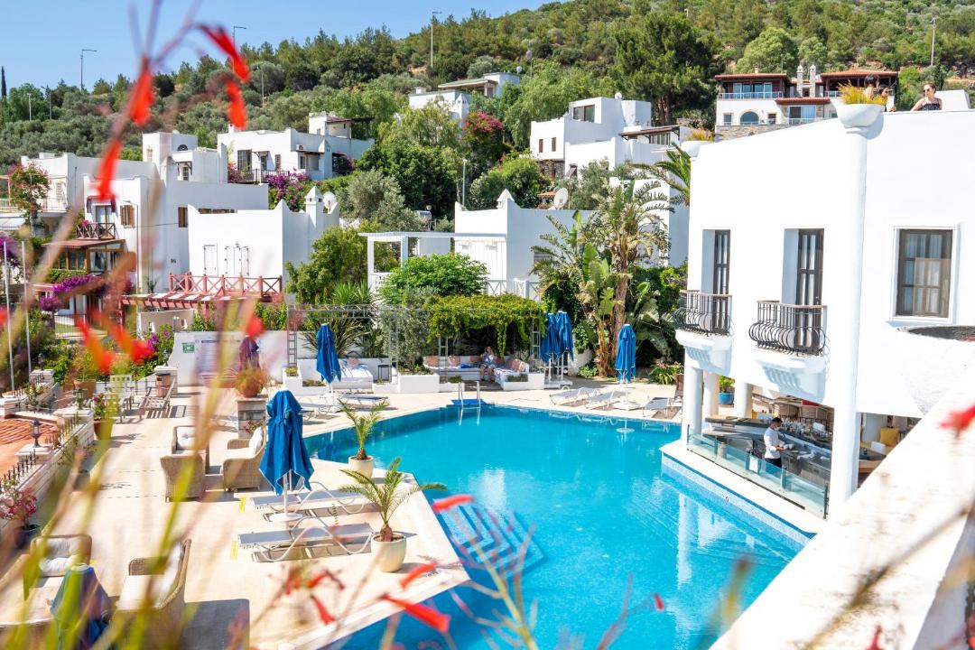 Photo of Others in Torba