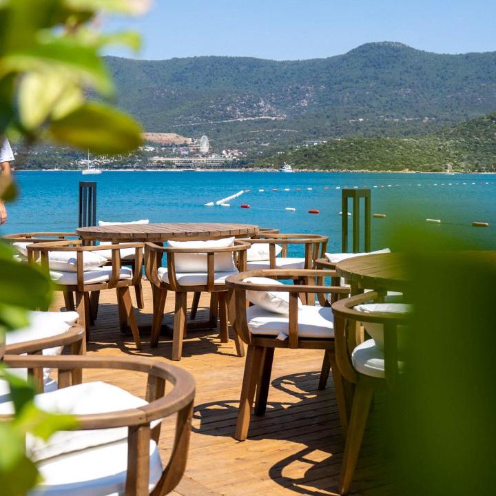 Photo of Others in Torba