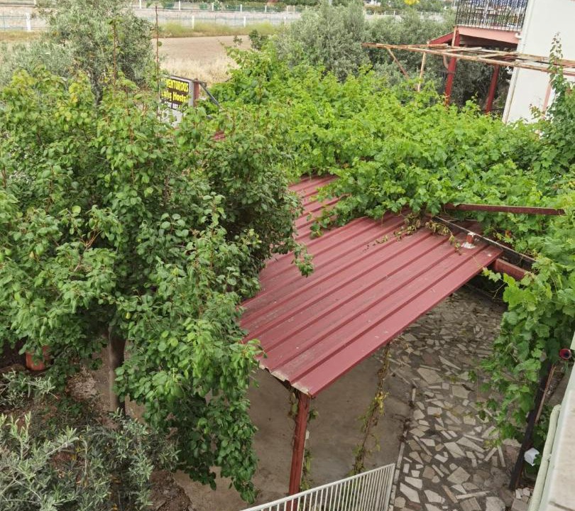 Photo of Others in Fethiye