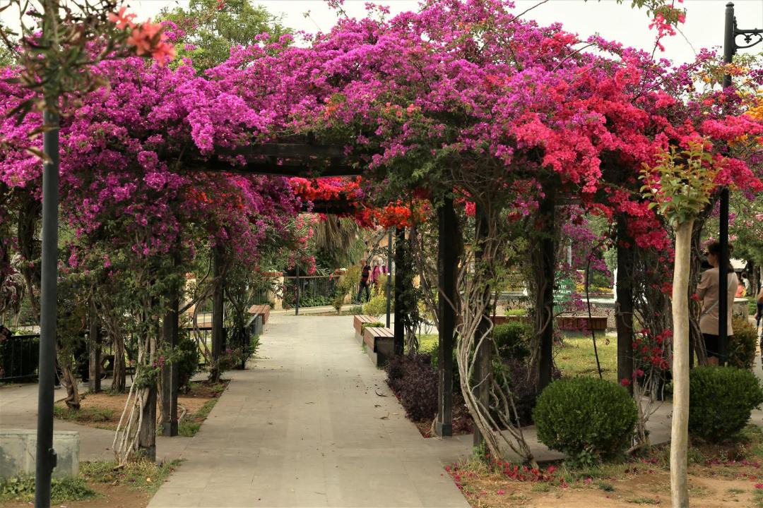 Photo of Outdoor in Kaleici