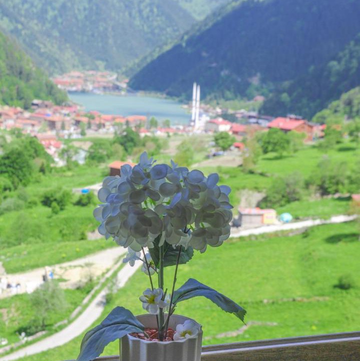 Photo of Others in Uzungol