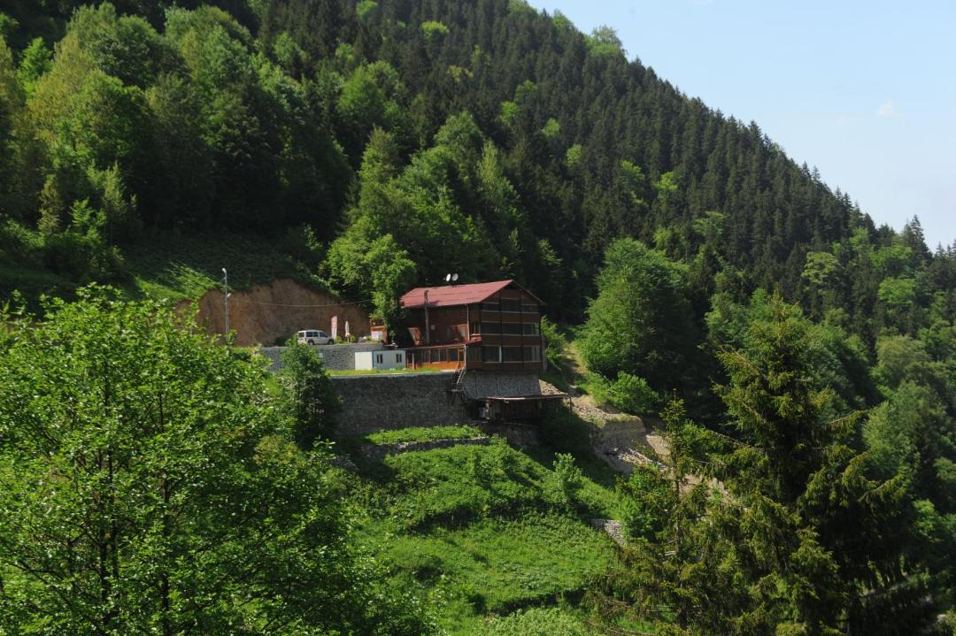 Photo of Others in Uzungol