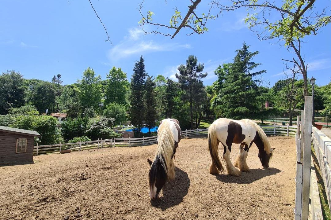 Photo of Others in Polonezkoy