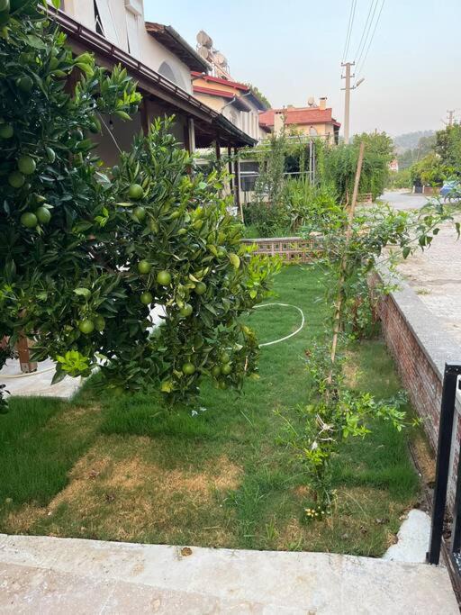 Photo of Others in Dalaman