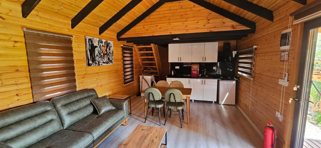 Photo of Livingroom in Dalaman