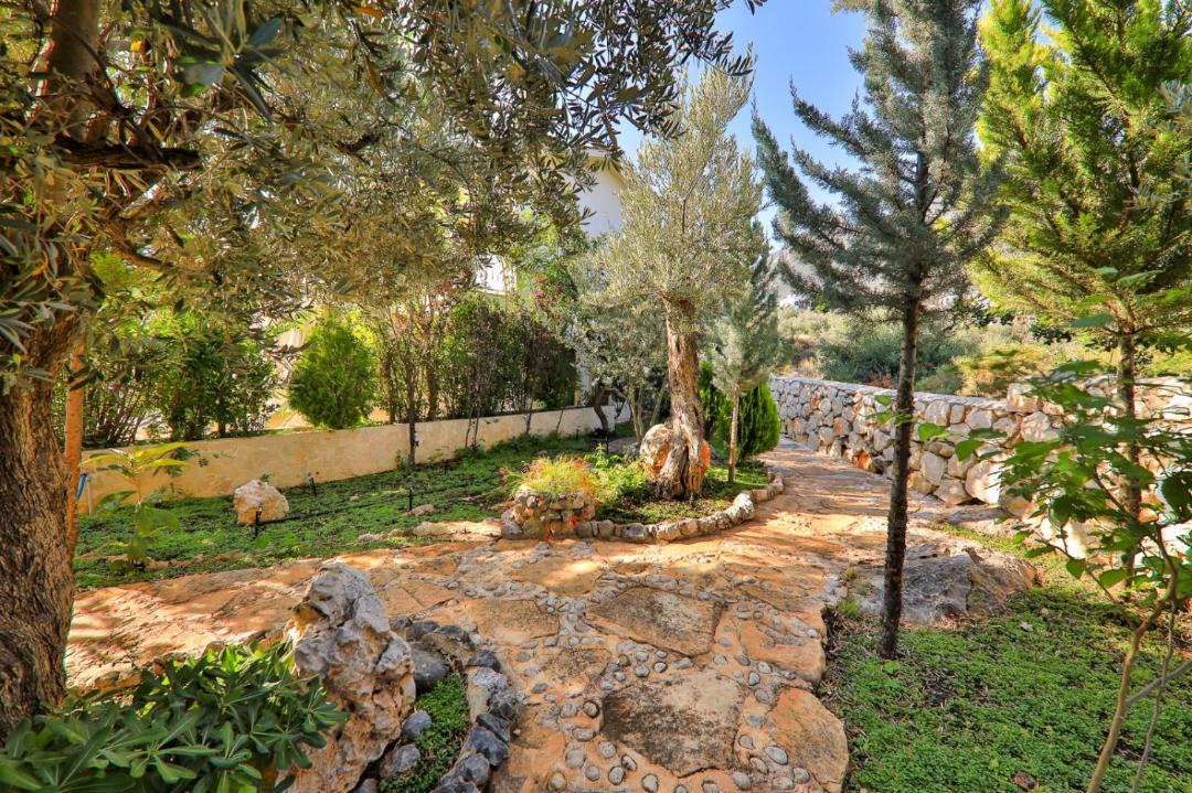Photo of Others in Kalkan
