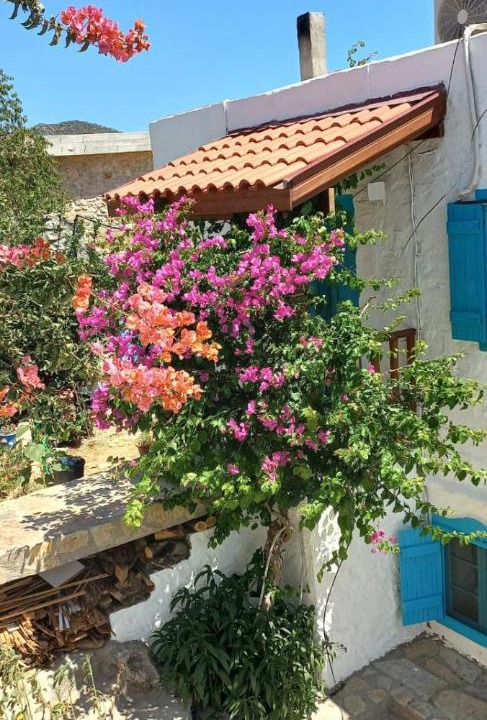 Photo of Others in Datca
